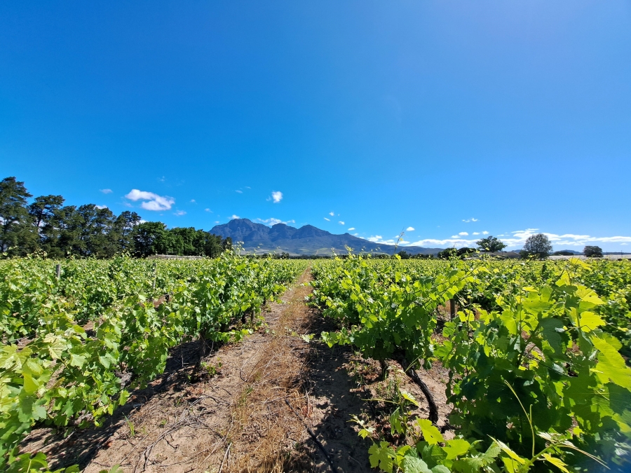 4 Bedroom Property for Sale in Paarl Rural Western Cape